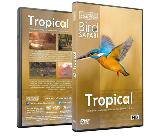 Bird Safari - Tropical Bird Safari Dvd