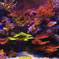 Aquarium TV Jukebox 2