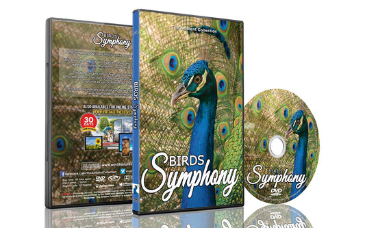 Birds Symphony Dvd