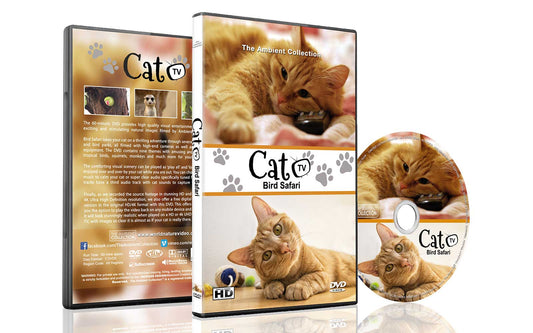 Cat TV Dvd