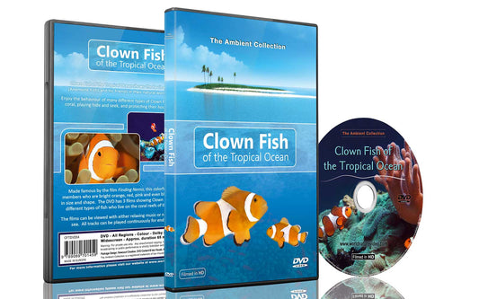 Clown Fish Dvd