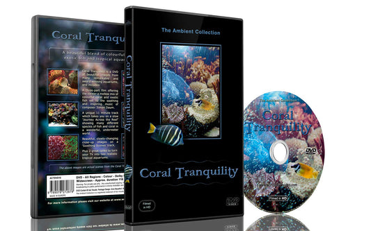 Coral Tranquility 2013