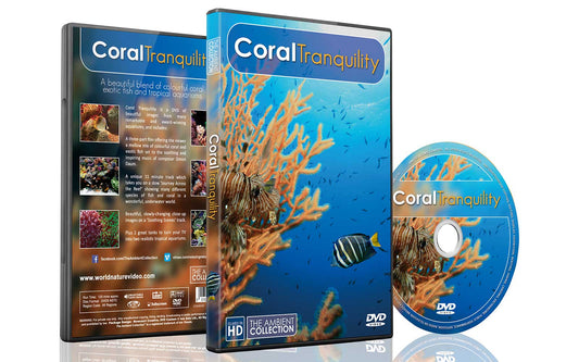 Coral Tranquility 2016