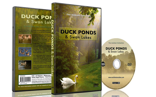Duck Ponds & Swan Lakes Dvd