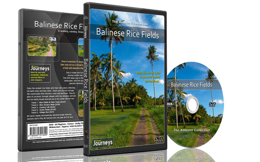 Fitness Journeys - Balinese Rice Fields