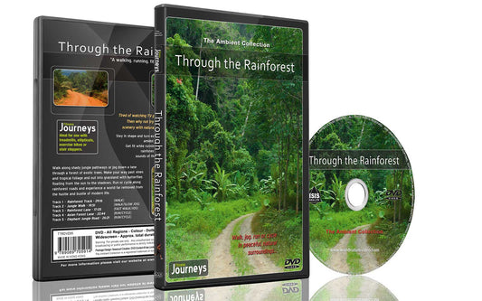 Fitness Journeys - Through the Rainforest