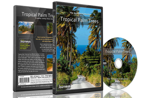 Fitness Journeys - Tropical Palm Trees