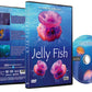 Jelly Fish Dvd