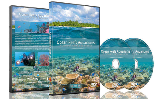 Ocean Reefs Aquariums Dvd