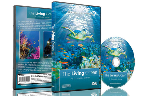The Living Ocean: An Underwater Journey