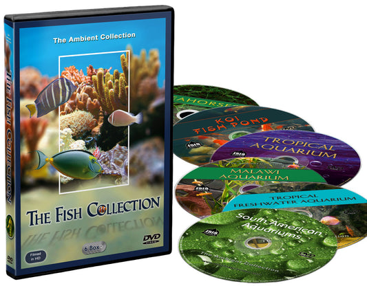 The Fish Collection - 6 DVD Box Set