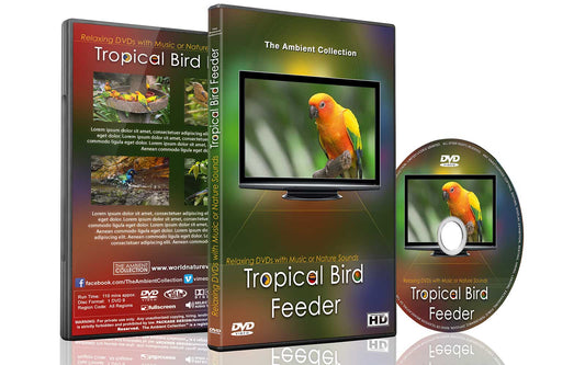 Tropical Bird Feeder Dvd