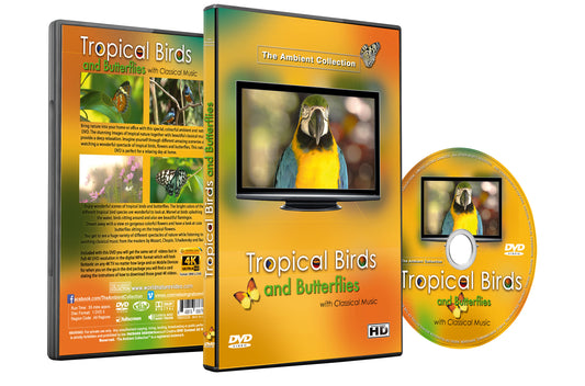 Tropical Birds and Butterflies with Classical Music Dvd