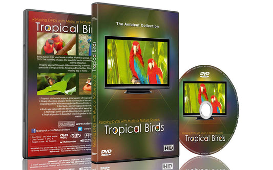 Tropical Birds Dvd
