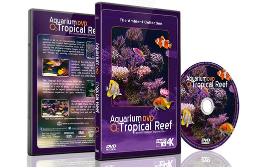 Tropical Reef Aquarium - Filmed in 4K