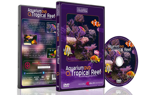 Tropical Reef with 4K Ultra HD Download