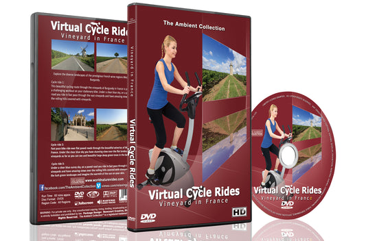 Virtual Cycle Rides - Vineyard in France
