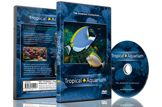 Tropical Aquarium 2011