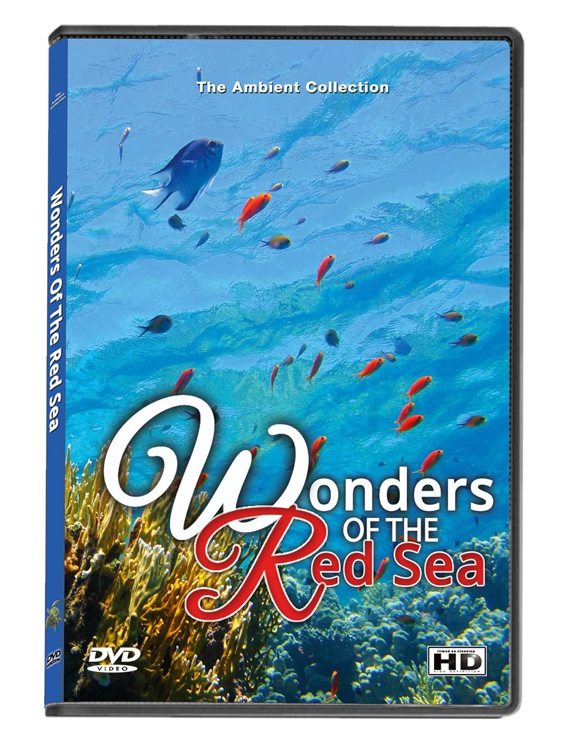 Wonders of the Red Sea Dvd