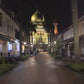 Virtual Walks - Singapore Heritage