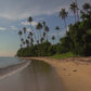 Virtual Walks - Philippines
