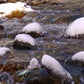 Four Seasons - Winter