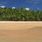 A Day at the Tropical Beach Dvd