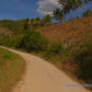 Fitness Journeys - Tropical Palm Trees