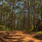 Fitness Journeys - Natural Scenery