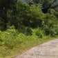 Fitness Journeys - Tropical Forest & Limestone Scenery