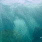 Ocean Dreaming Dvd