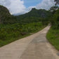Cycle Through Tropical Scenery