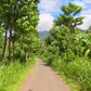 Fitness Journeys - Tropical Scenery 2