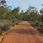 Fitness Journeys - Forest & Bush Trails