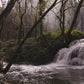 Fall Cascades