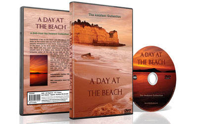 A Day at the Beach