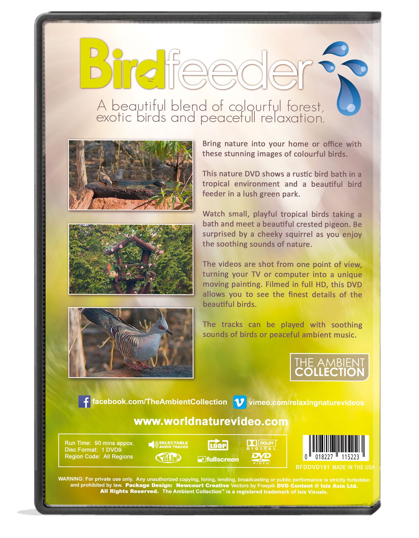 Bird Feeder