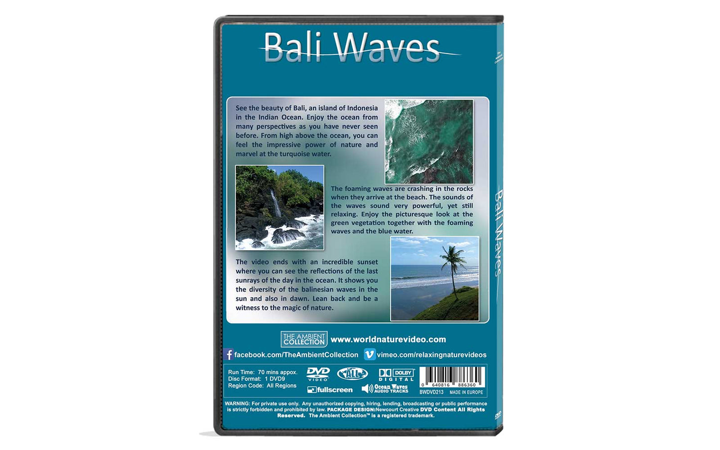 Bali Waves Dvd
