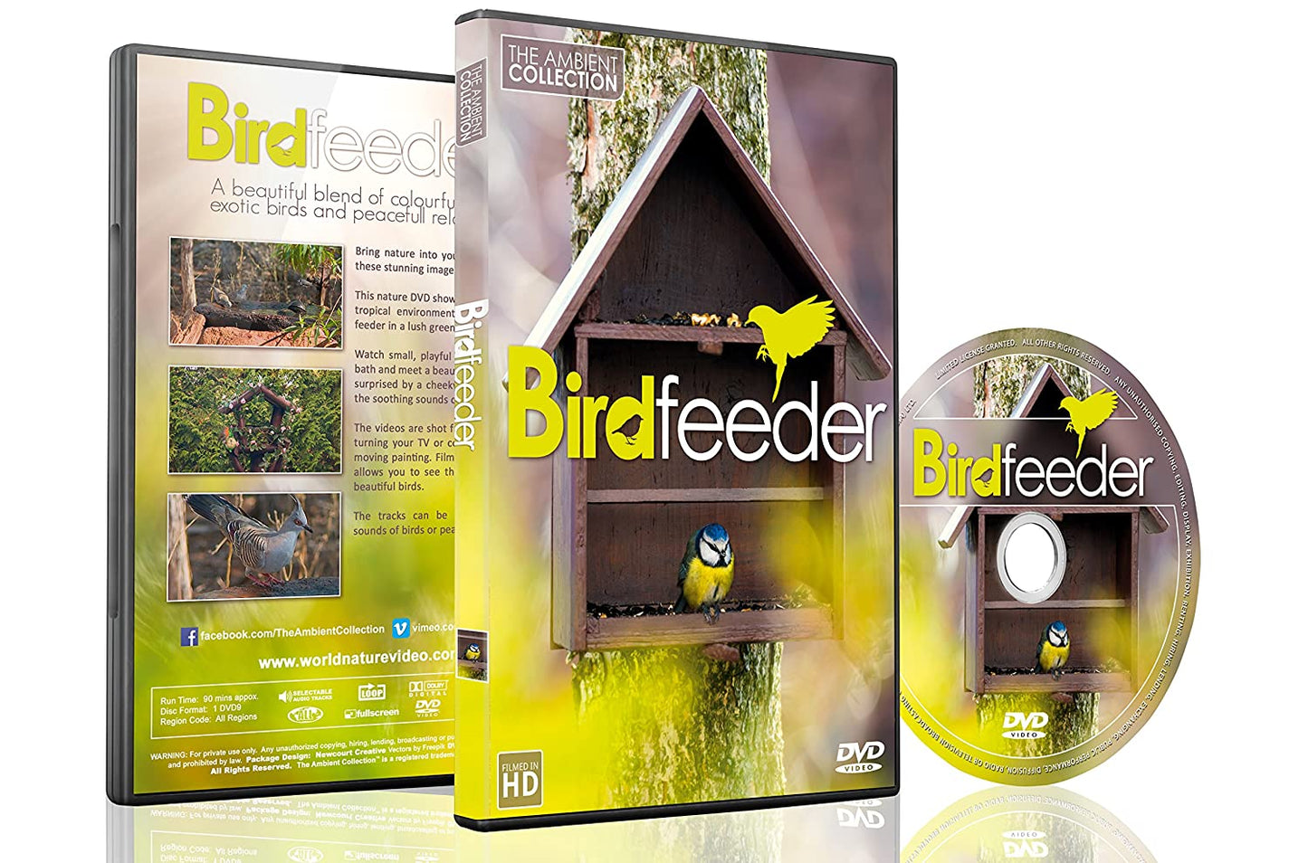 Bird Feeder