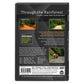 Fitness Journeys - Through the Rainforest