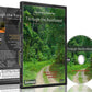 Fitness Journeys - Through the Rainforest