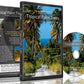 Fitness Journeys - Tropical Palm Trees