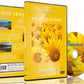 Four Seasons - Summer