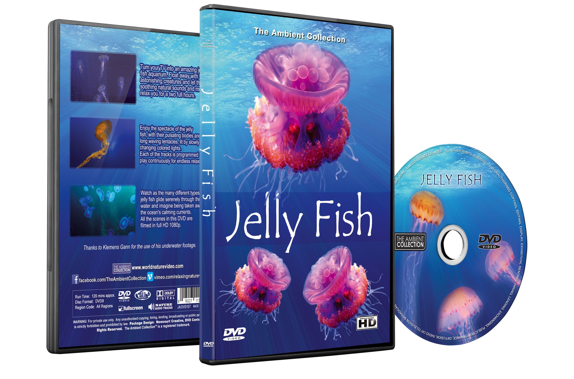 Jelly Fish Dvd