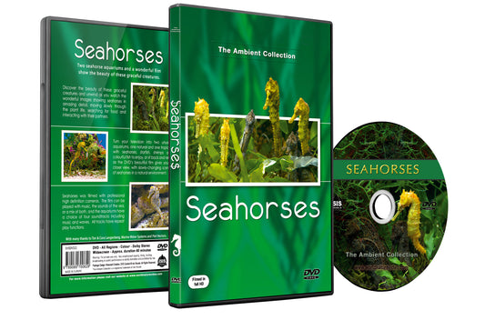 Seahorses