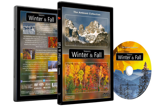 Seasons Winter & Fall