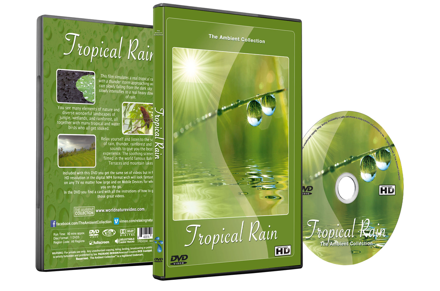 Tropical Rain