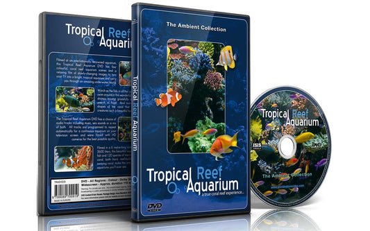 Tropical Reef Aquarium