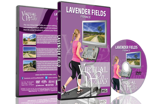 Virtual Walks - Lavender Fields, France